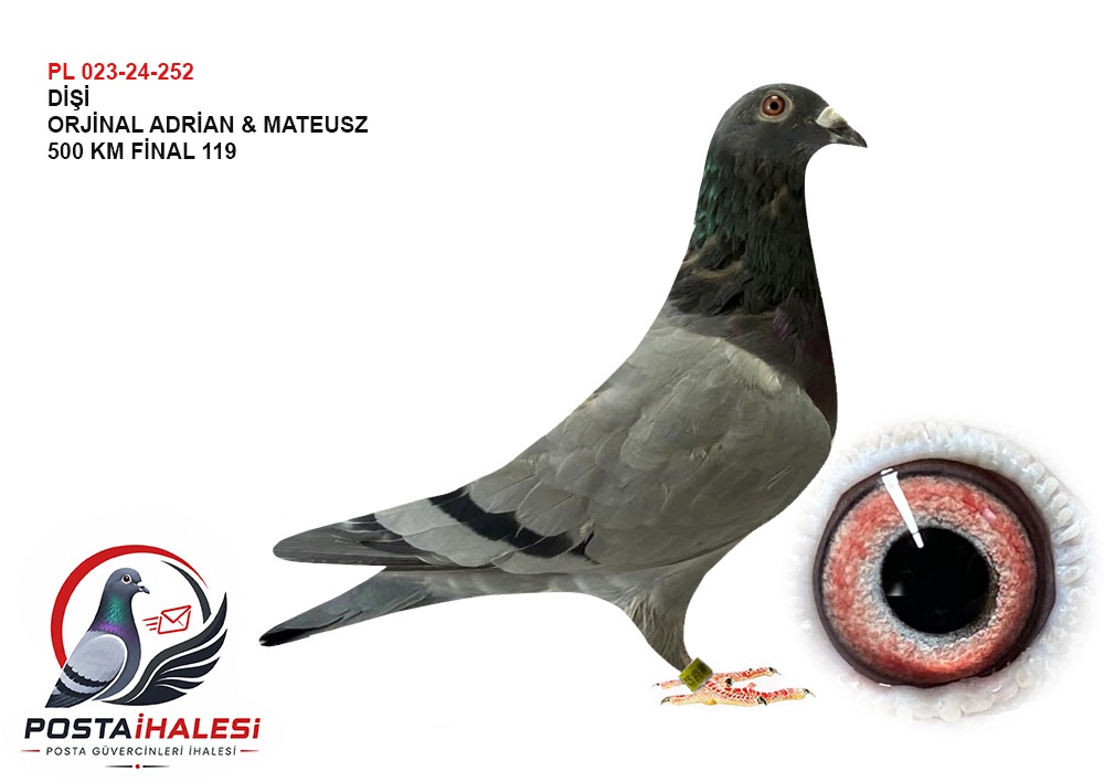 PL-023-24-252 500 FİNAL 119 MESSİ &SAGAN