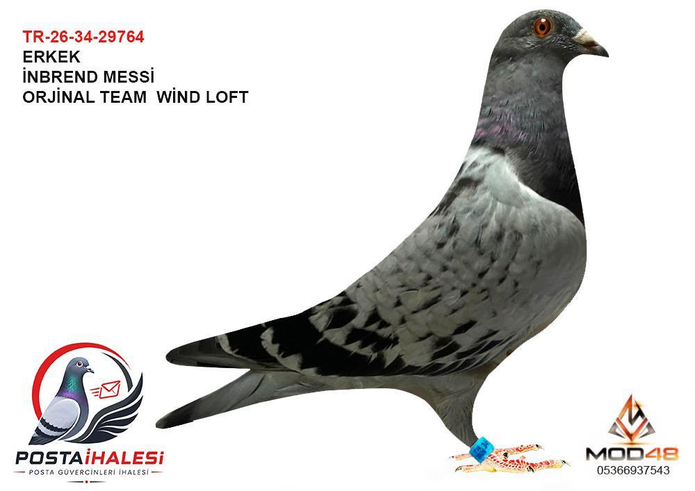 TR-26-34-29764 İNBREND MESSİ TEAM WİND LOF