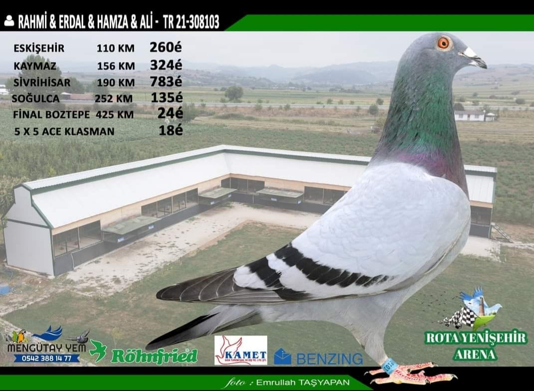 TR 21-308103 RAHMİ-HAMZA 425 KM FİNAL 24 ACE 18