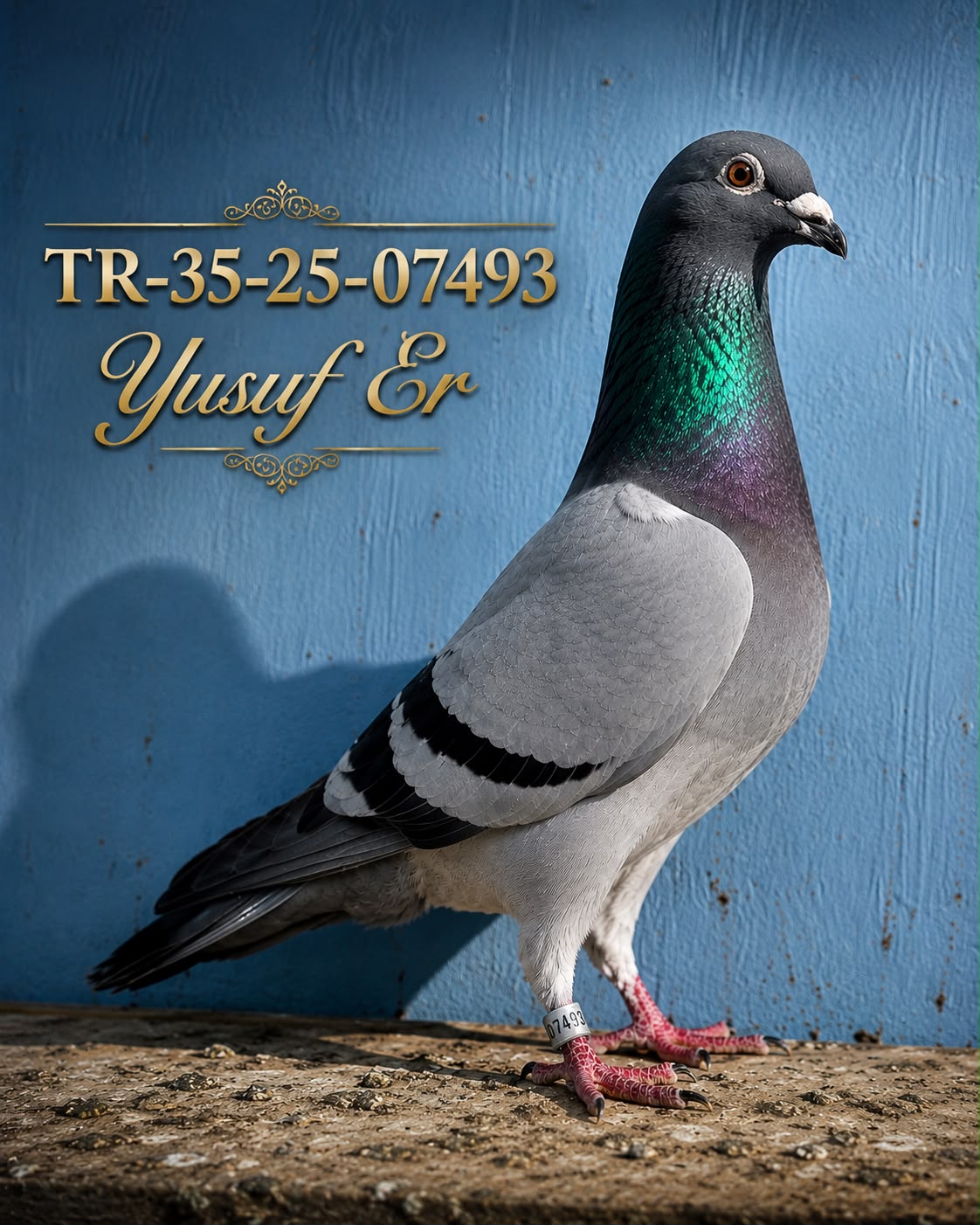 TR-35-25-07493 YUSUF  ER