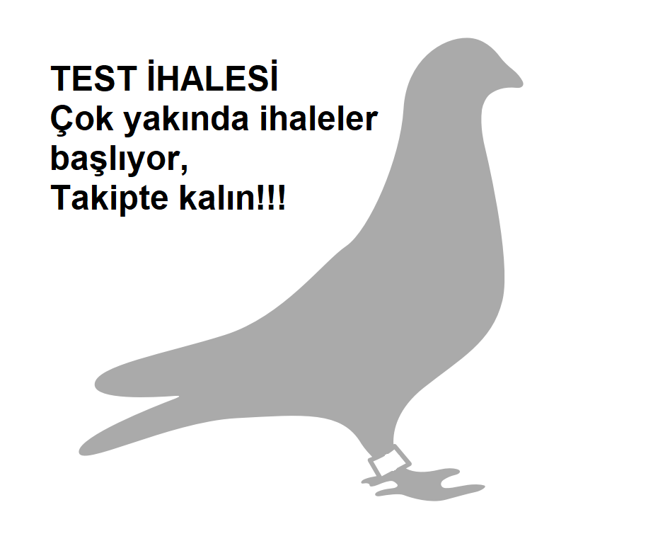 Deneme test ihalesi