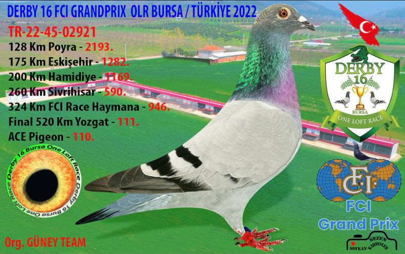 TR-45-22-02921 DERBY 520 KM FİNAL111 ACE 110