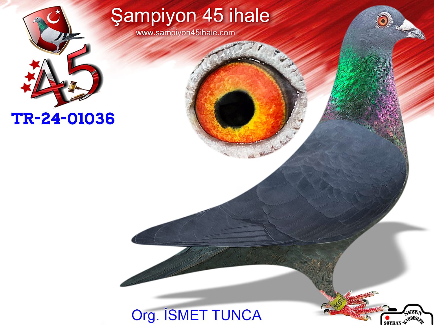 TR-24-01036 ARAP 