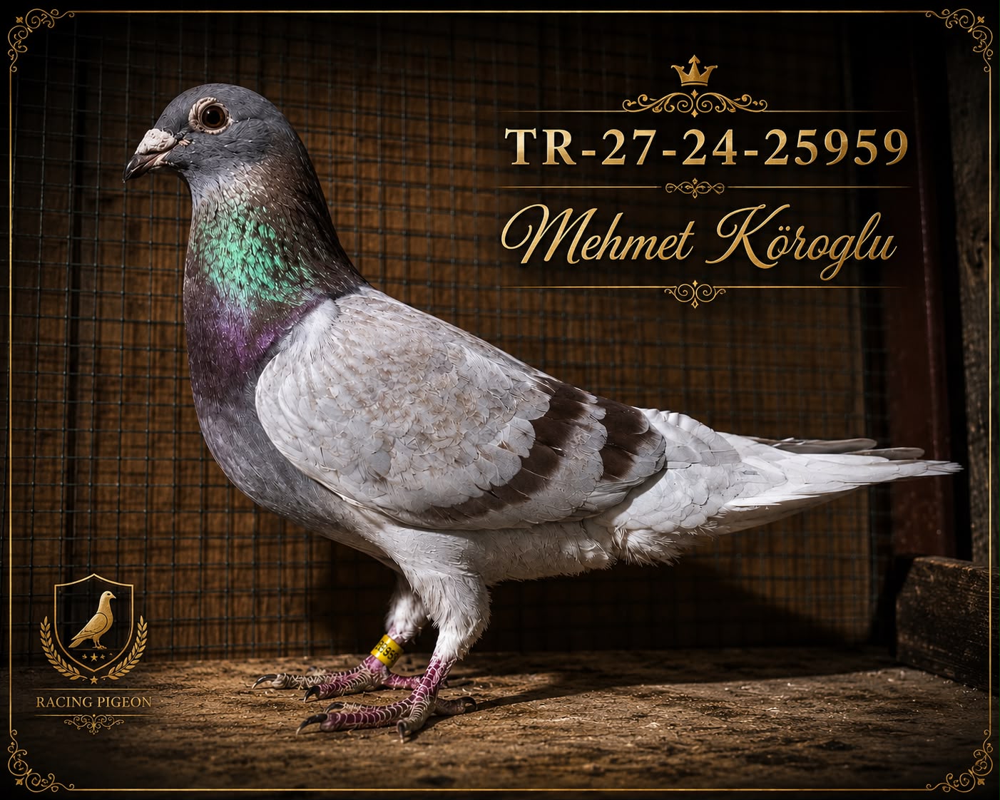 TR-27-24-25959 MEHMET KÖKOGLU