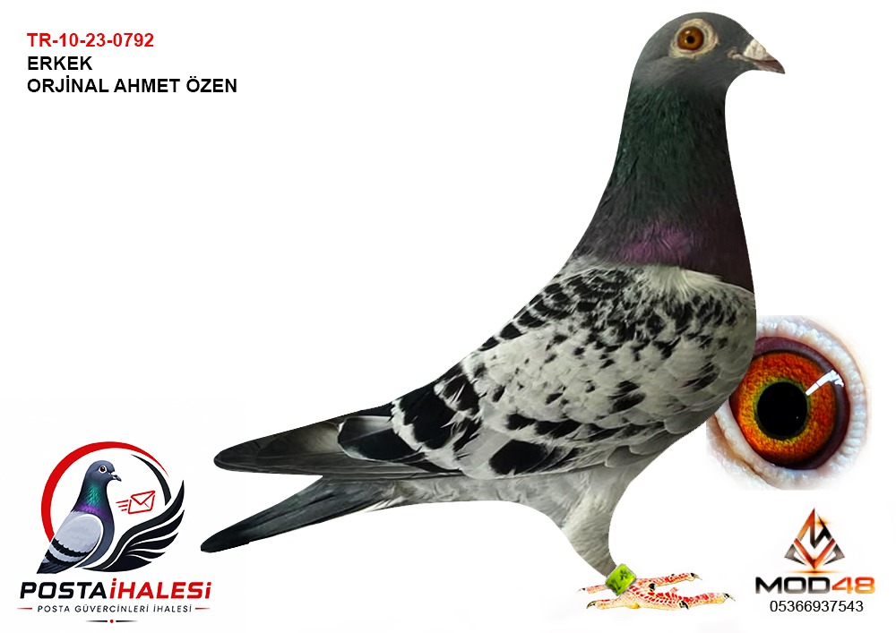 TR-10-23-0792 ORJİNAL AHMET ÖZEN