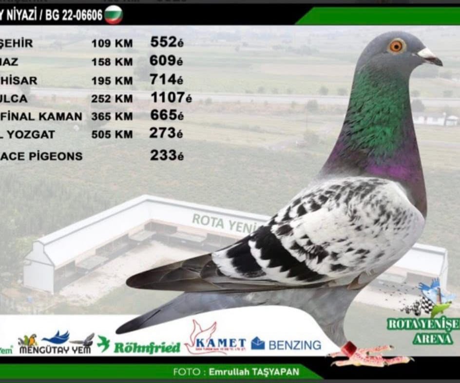 BG-22-06606 DRAPPA POKERFACE FİNAL 505 KM 273