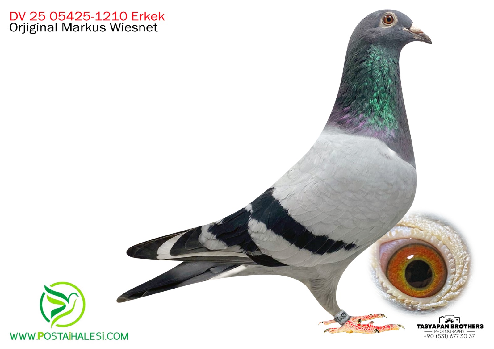 DV 25-05425-1210 GİANT TORUNU