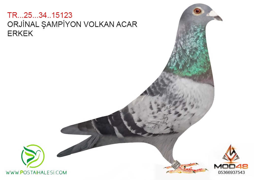 TR-25-34-15123 ORJİNAL VOLKAN ACAR