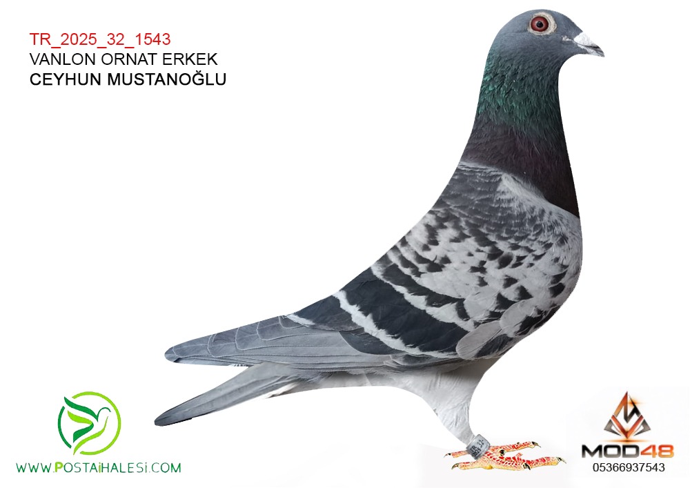 TR-25-32-1543 ORNAT-WANLON