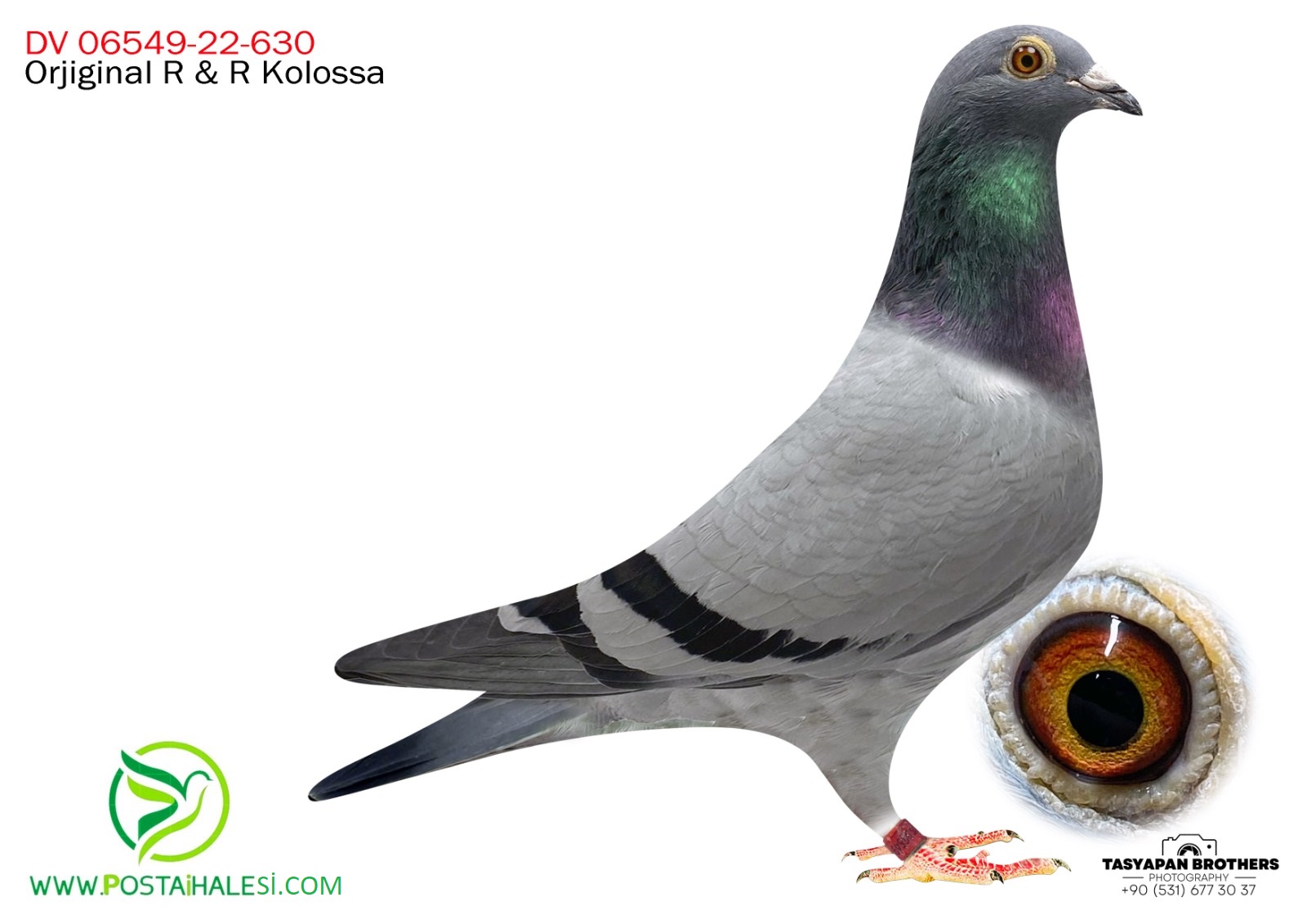 DV-06549-22-630 ROMARİO&TOMAS6