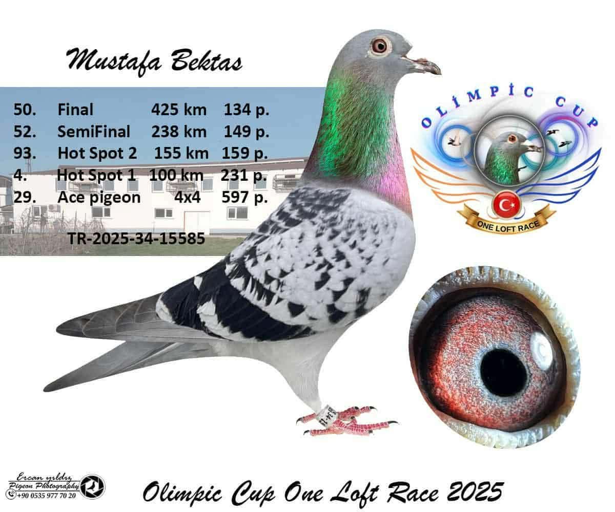 TR-25-34-15585 425 KM FİNAL 50 KİTTEL& P.MERVE