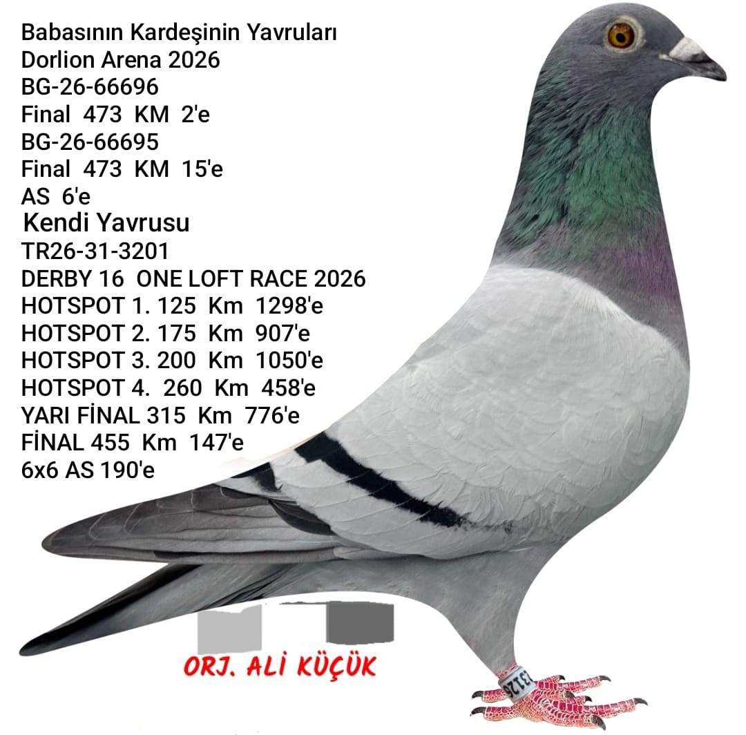 TR-25-34-23126 ALİ KÜCÜK-D-COUPLE-STAVROZ HÜRİCAN 51