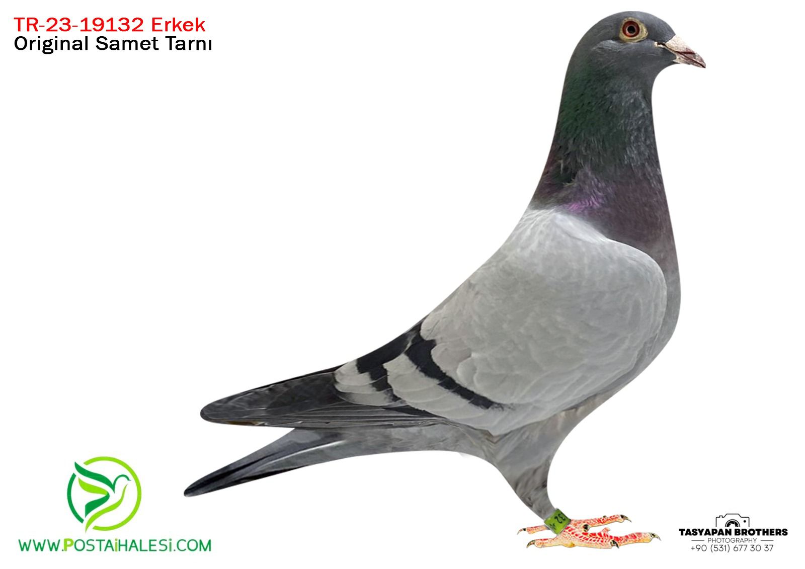 TR-22-09132 SG STEEF&GABY&GİLLETTE