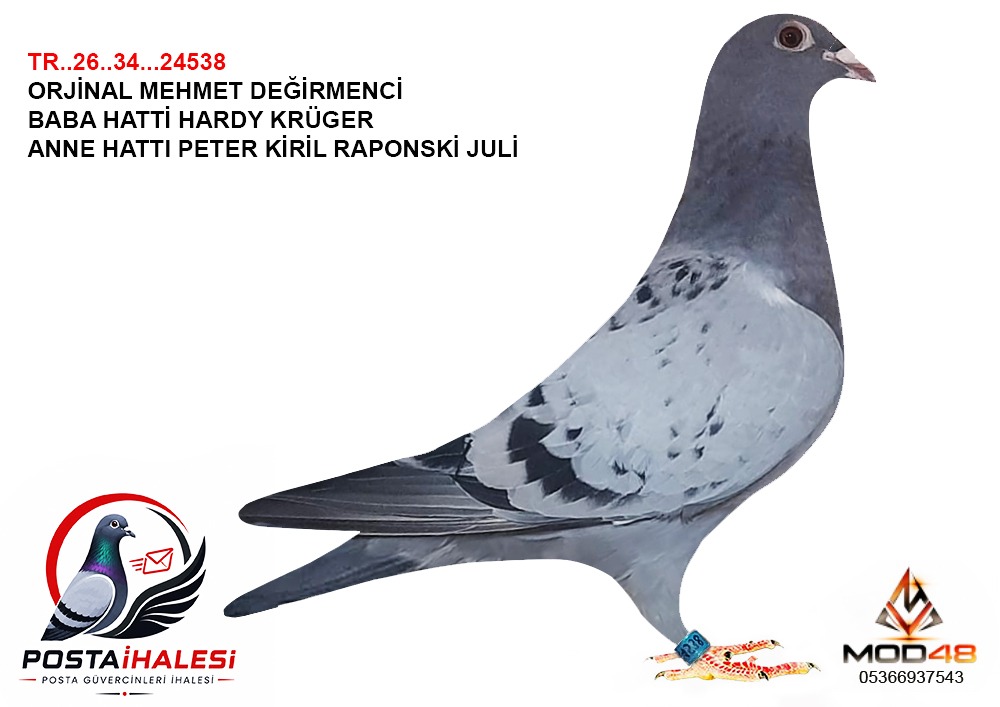 TR-26-34-24538 HARDY KRÜGER JÜLİA MEHMET DEGİRMENCİ