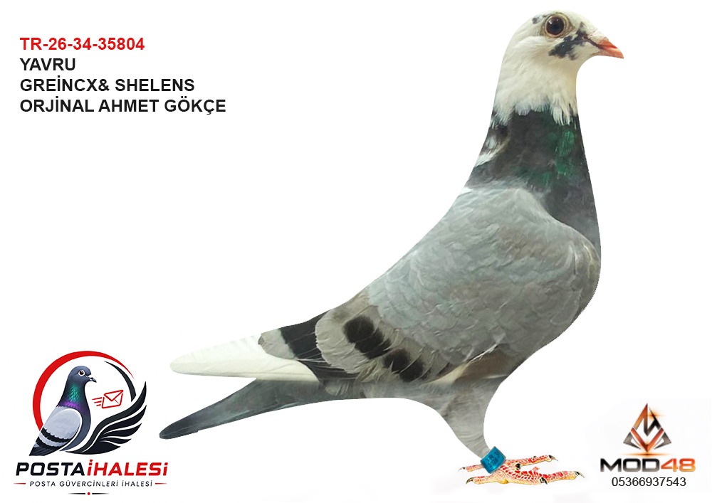 TR-26-34-35804 AHMET GÖKÇE