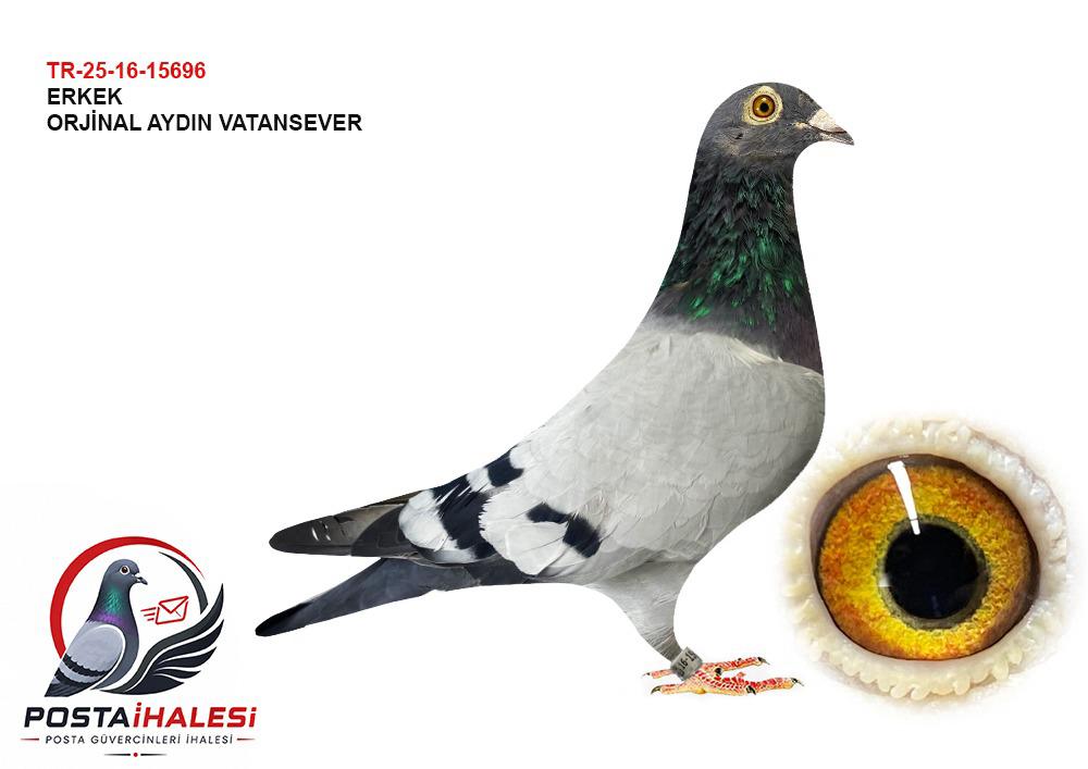 TR-25-16-15696 AYDIN VATANSEVER