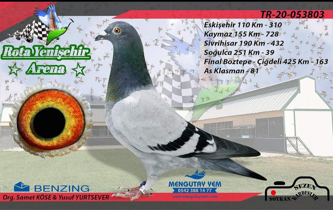TR-20-053803--425 KM-163 ACE 81 ZOONTJS FİGO