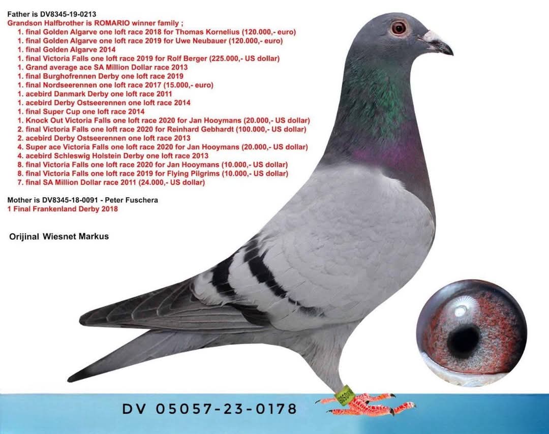 DV-05057-23-0178 ROMARİO