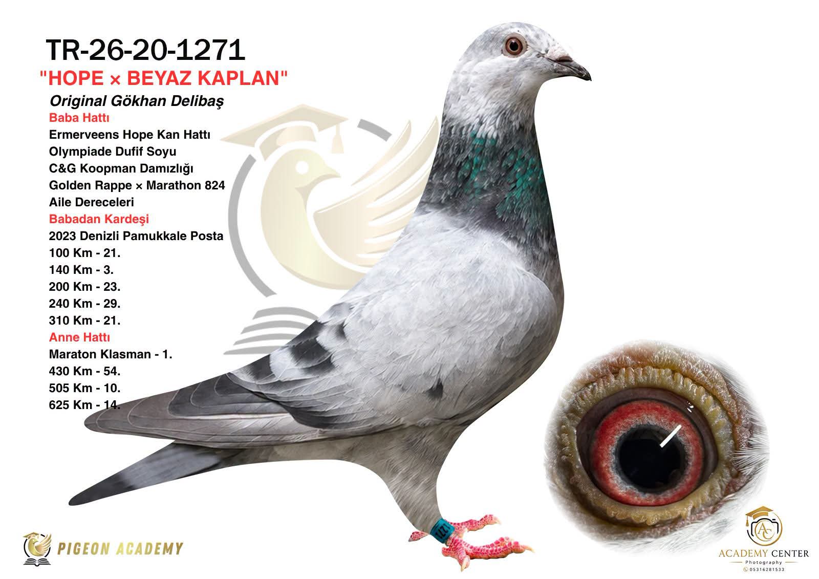 TR-26-20-1271 GÖKHAN DELİBAŞ