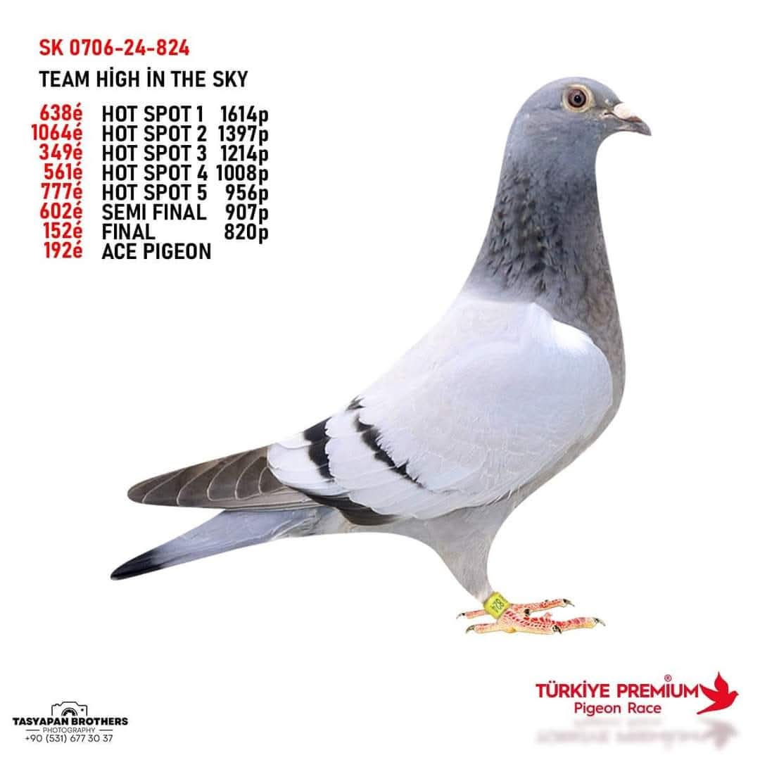 SK-0706-24-824 FİNAL 505 KM 152 ACE 192 TEAM HİNG THE SKY