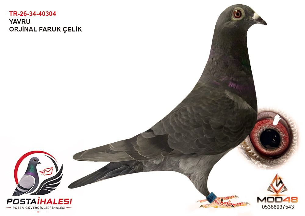 TR-26-34-40304 FARUK ÇELİK