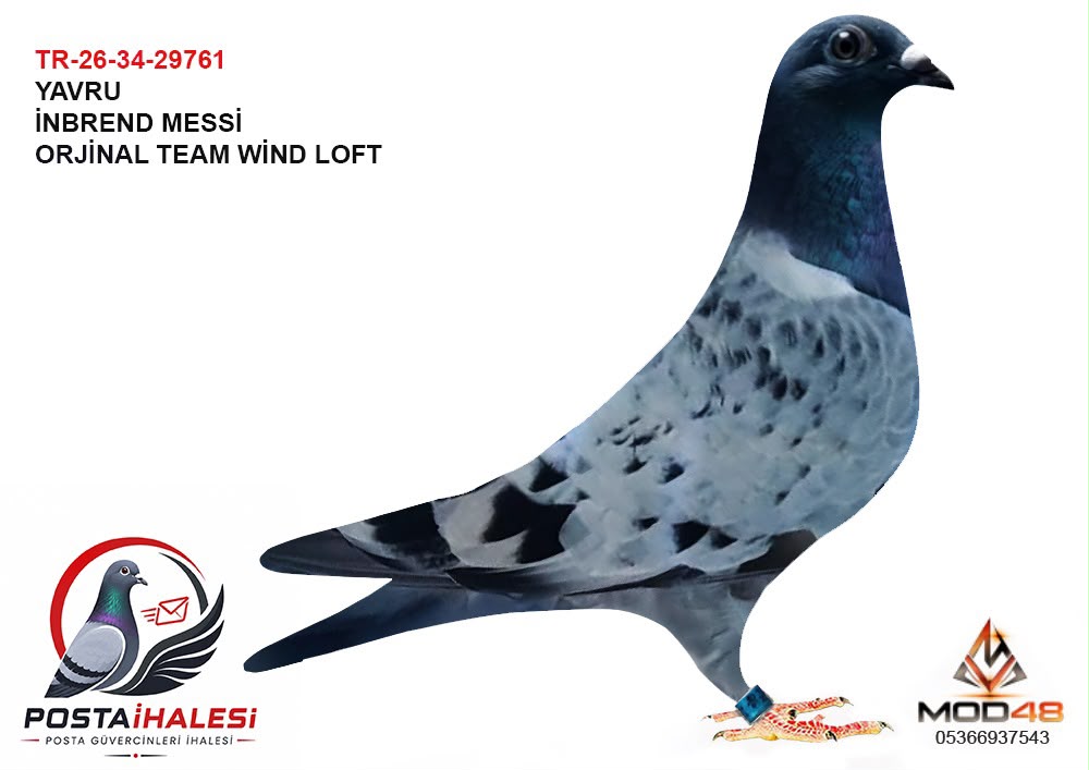 TR-26-34-29761 TEAM WİND LOFT MESSİ