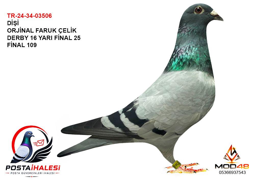 TR-24-34-03506 ORJİNAL FARUK ÇELİK DERBY 16 YARI FİNAL 25 FİNAL 108