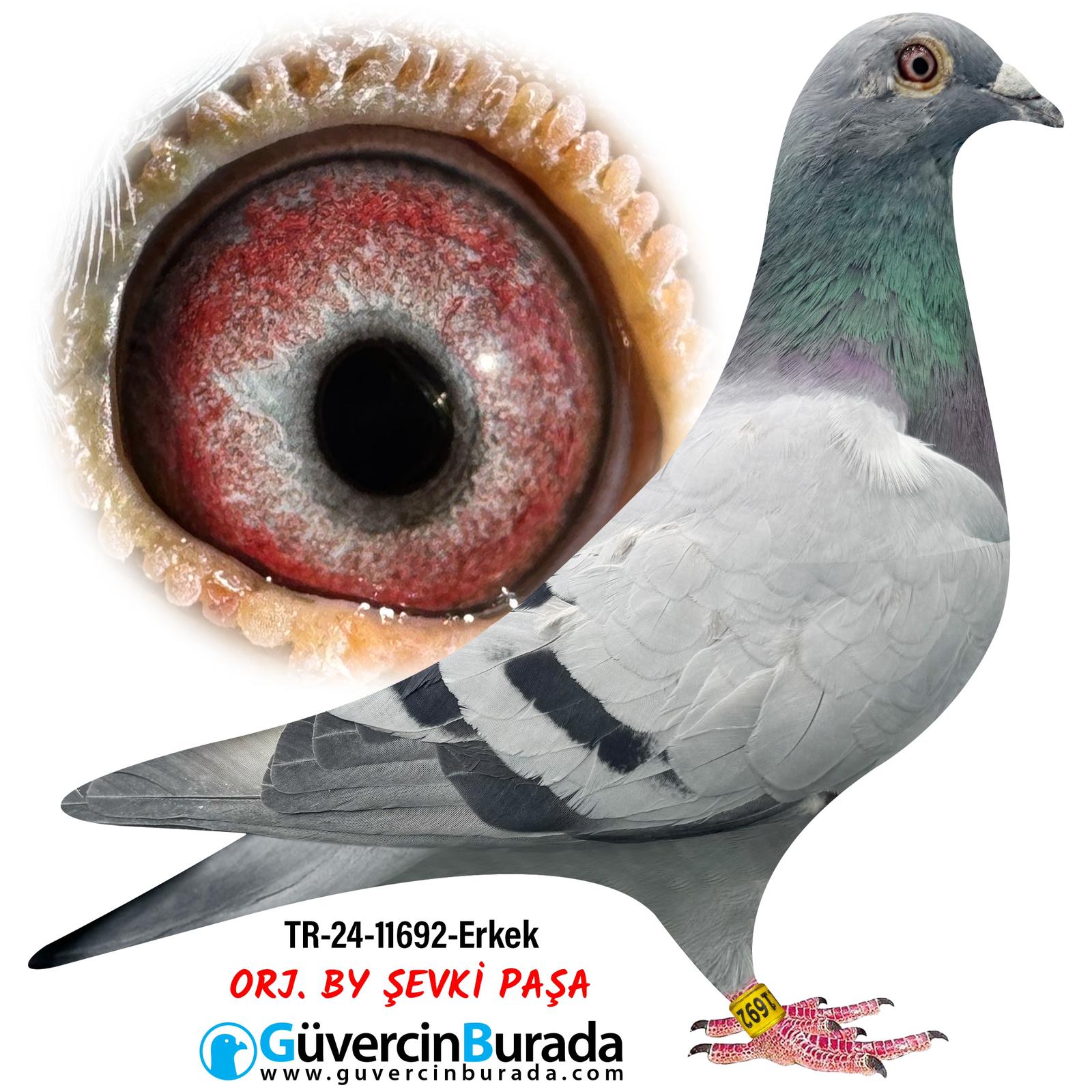 TR-24-11692  BY MOBİDİCK 