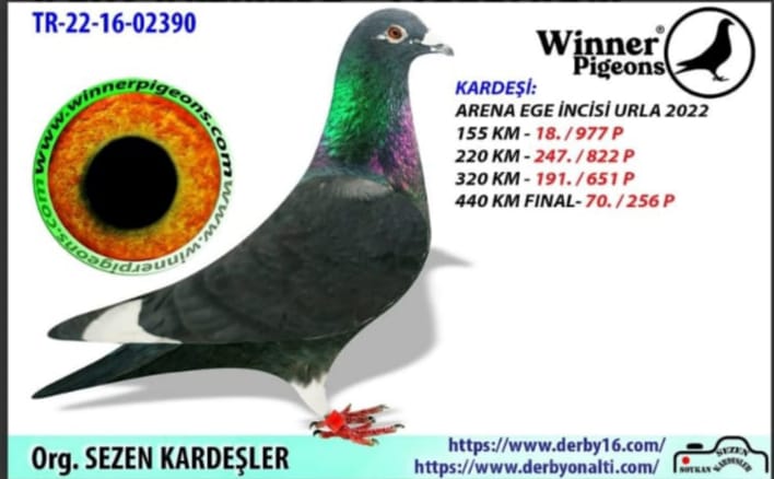 TR-22-16-02390 SEZEE KARDEŞLER  440 KM FINAL 70 