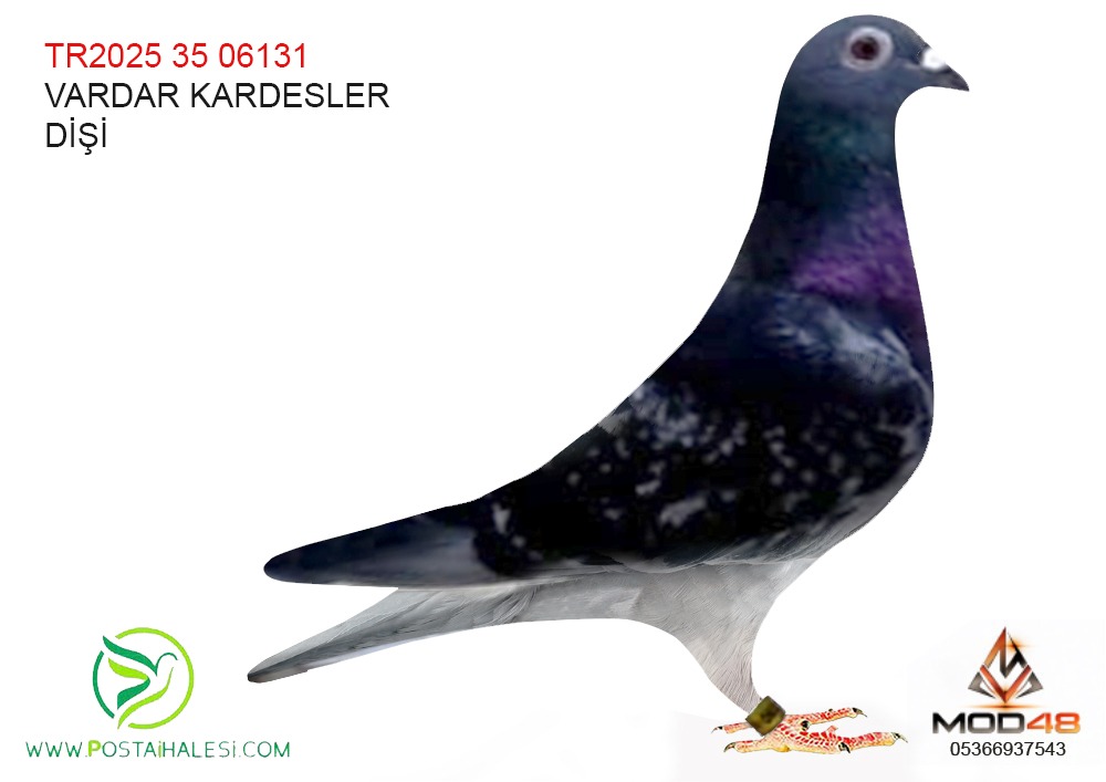 TR 24-35-06131 VARDAR KARDEŞLER