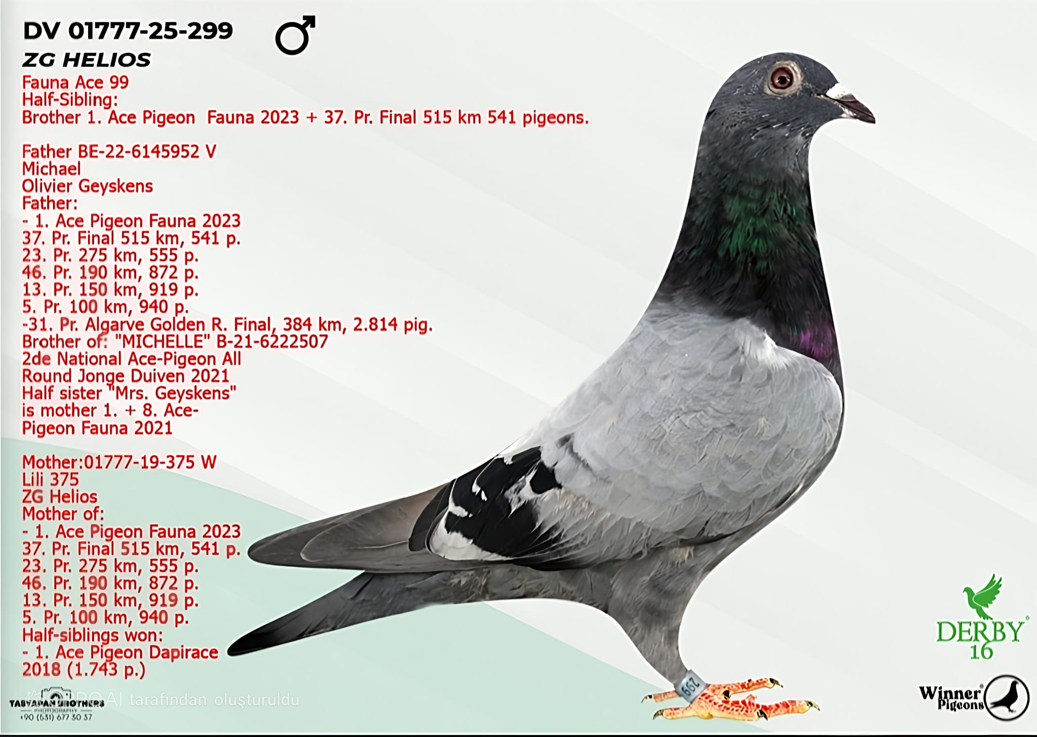 DV-01777-25-299 SG HELİOS BREAHAERT 1340