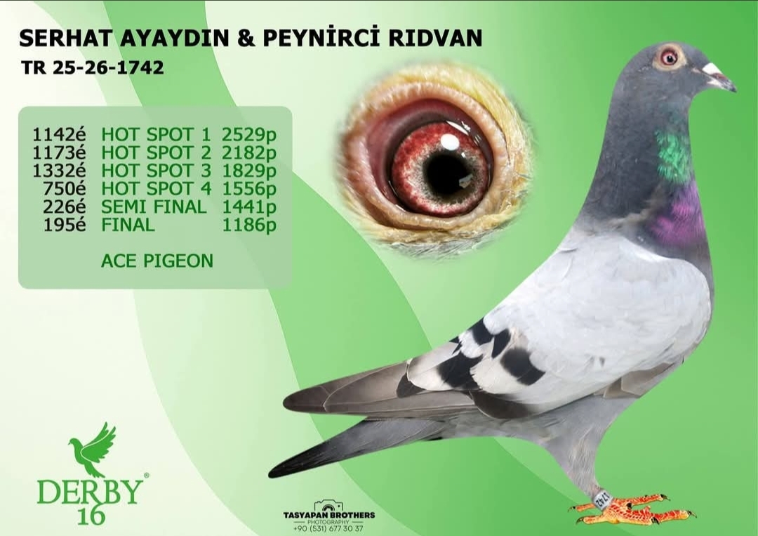 TR-25-26-1742 PEYNİRÇİ RIDVAN  SERHAT AYDIN FİNAL 195