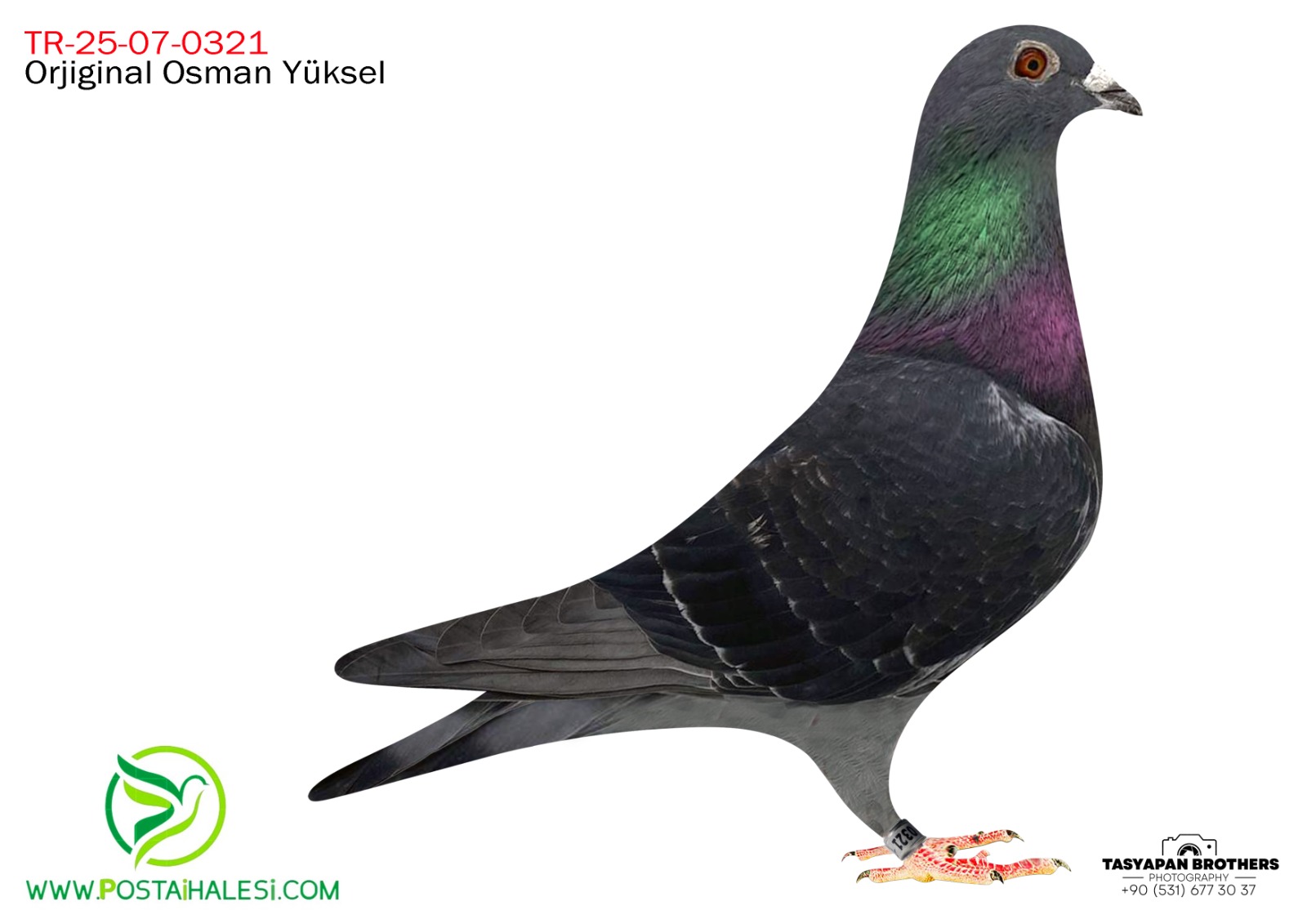 TR-25-07-0321 %100 MENNE