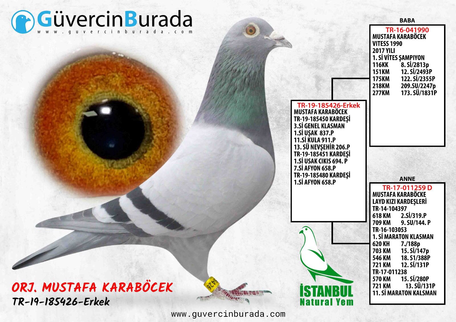 TR-19-185426 MUSTAFA KARABÖÇEK