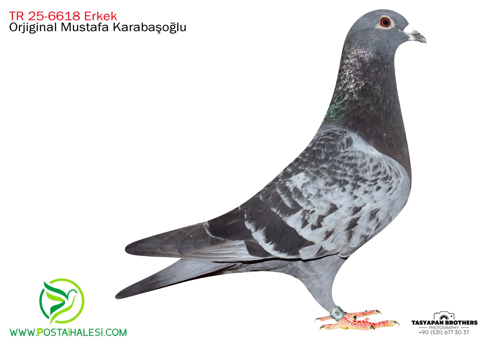 TR-25-09-6618 OGÜN KÖSE&050