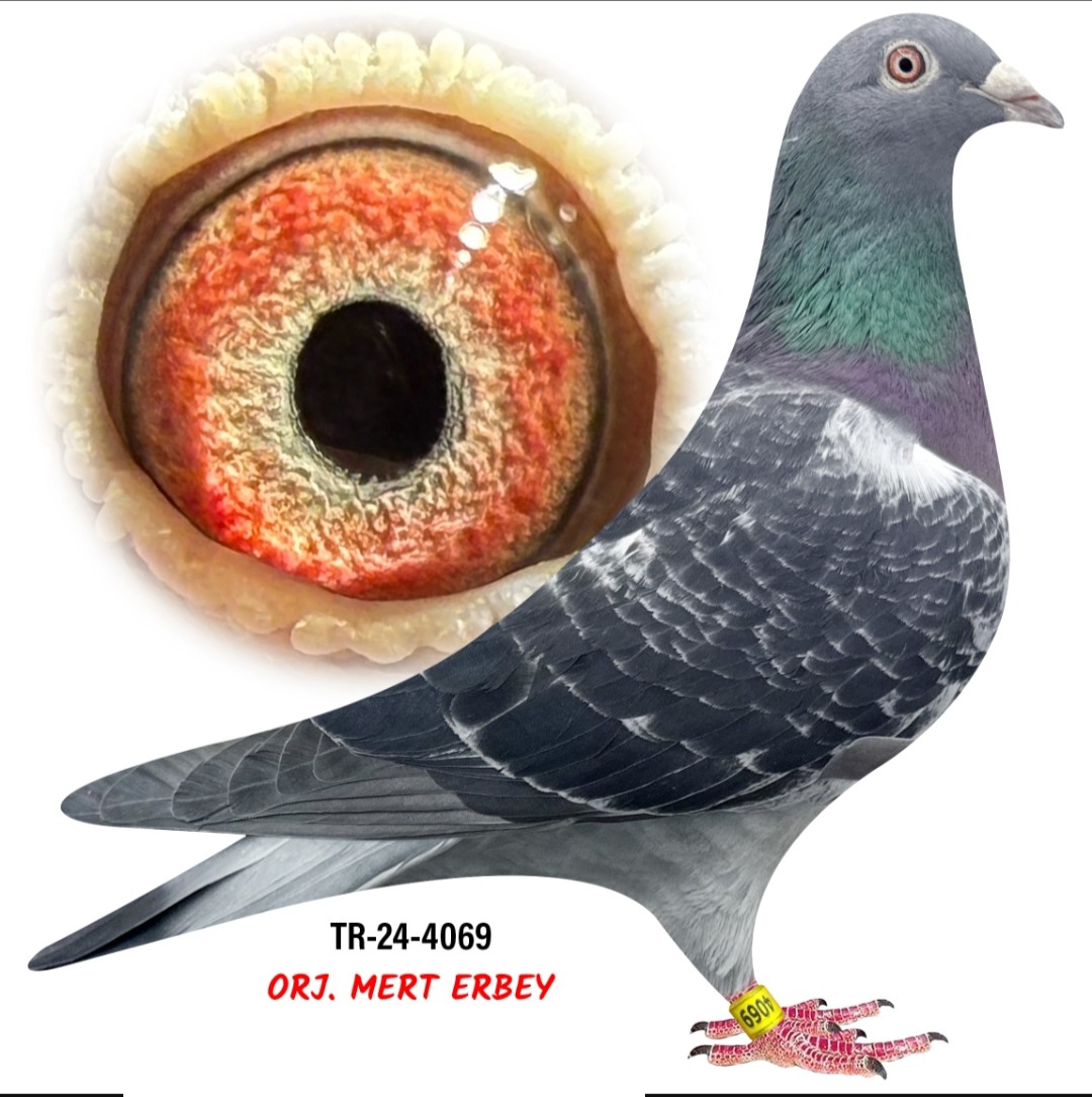 TR-24-4069 MERT ERBEY DERBY KAMİKAZE FİNAL 20
