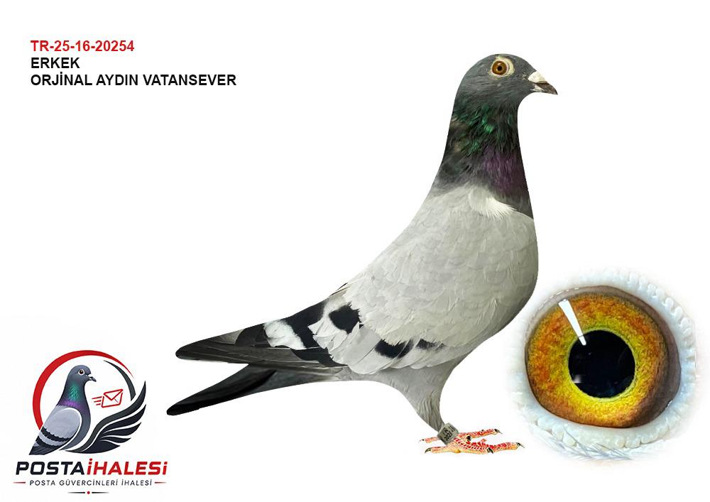 TR-25-16-20254 AYDIN VATANSEVER