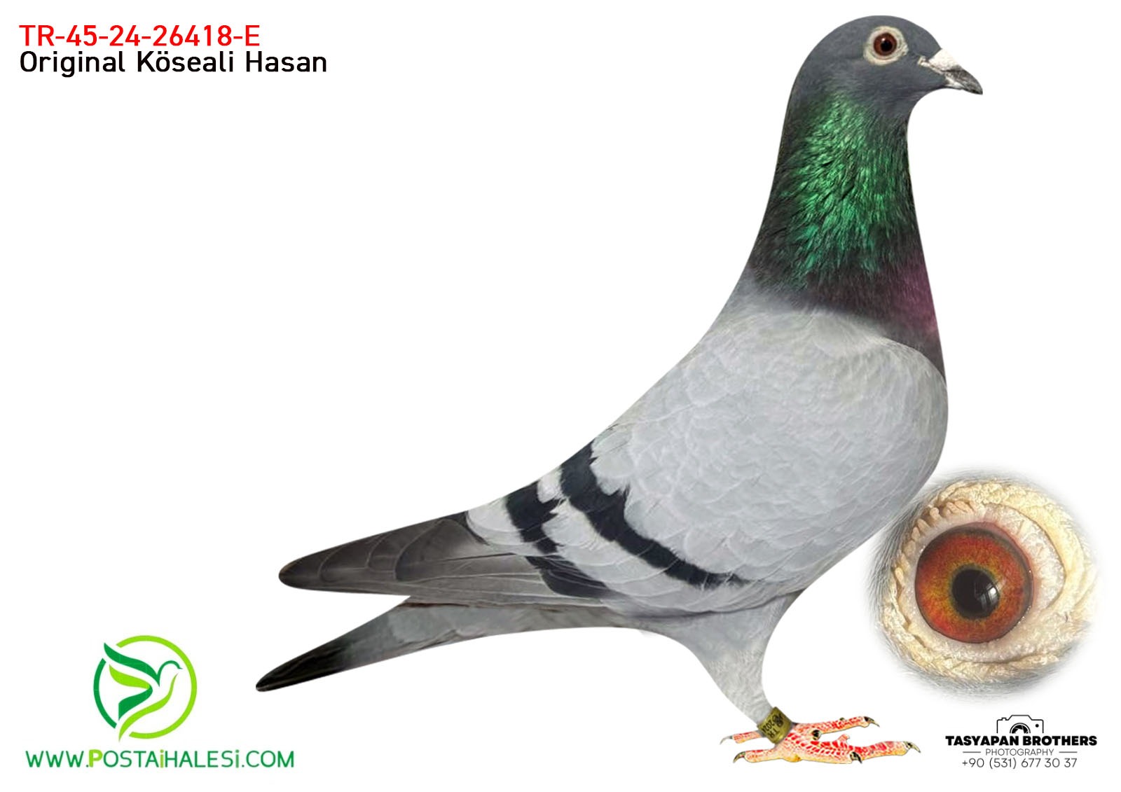 TR-45-24-26418 050-GİANT-MESSİ