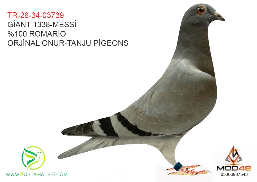TR-26-34-03739 1338 GİANT-MESSİ%100 ROMARİO
