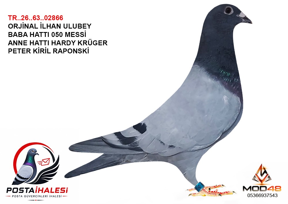 TR-26-63-02866  HARDY KÜREGER 050 MESSİ RAPONSKİ