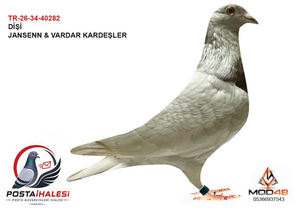 TR-26-34-40282  JANSEN&VARDAR KARDEŞLER