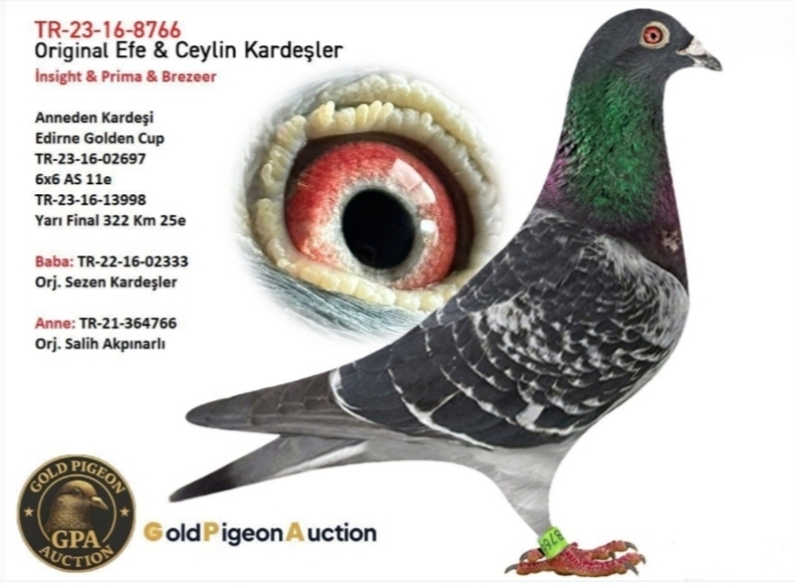 TR-23-16-8766 EFE CEYLİN KARDEŞLER