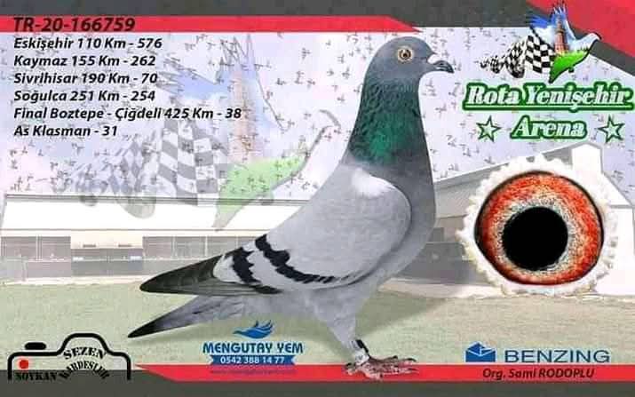 TR-20-166759 FİNAL 38 ACE 31
