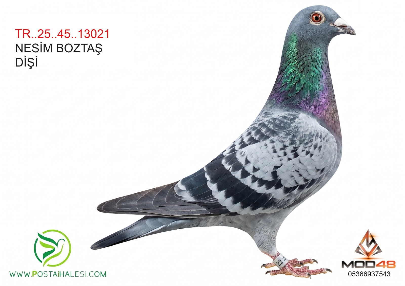TR-25-45-13021 NESİM BOZTAŞ