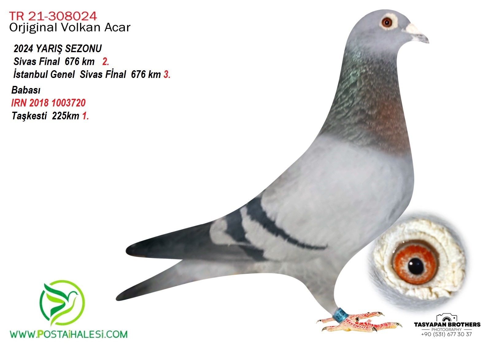 TR-21-308024 VOLKAN ACAR SİVAS 676 KM 2 SİVAS İSTANBUL GENL 676 KM3