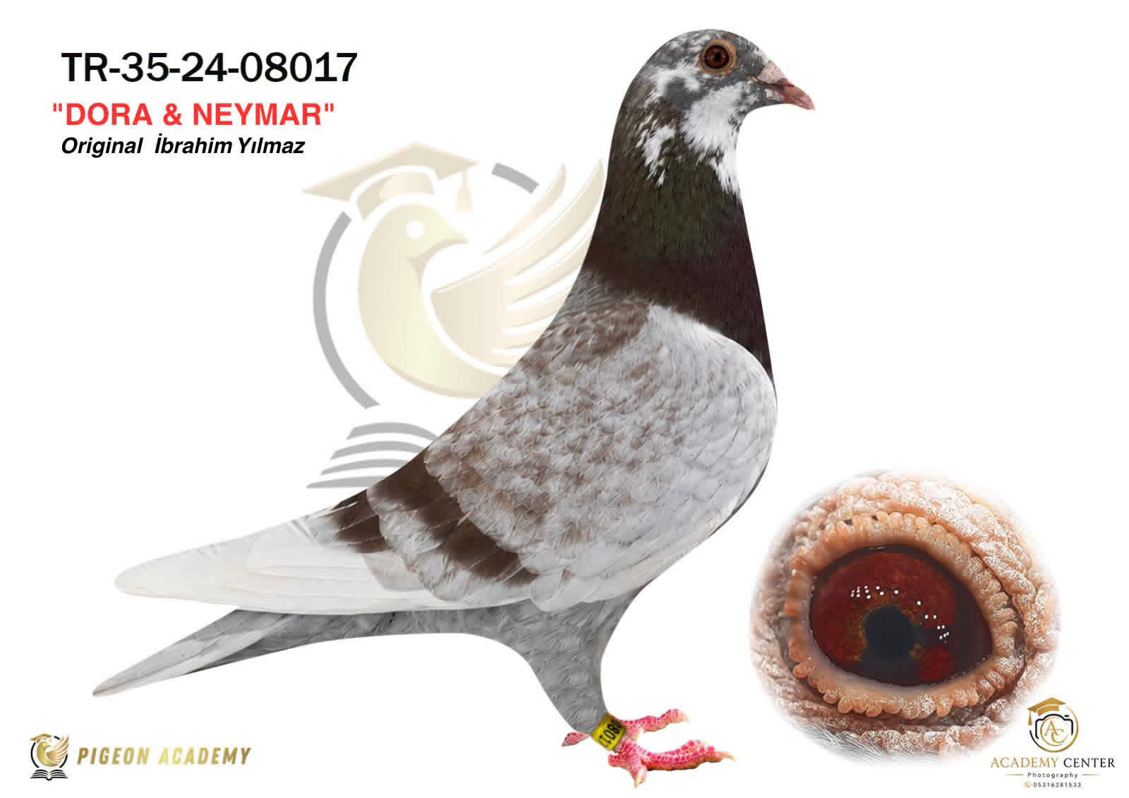 TR-35-24-08017 İBRAHİM YILMAZ