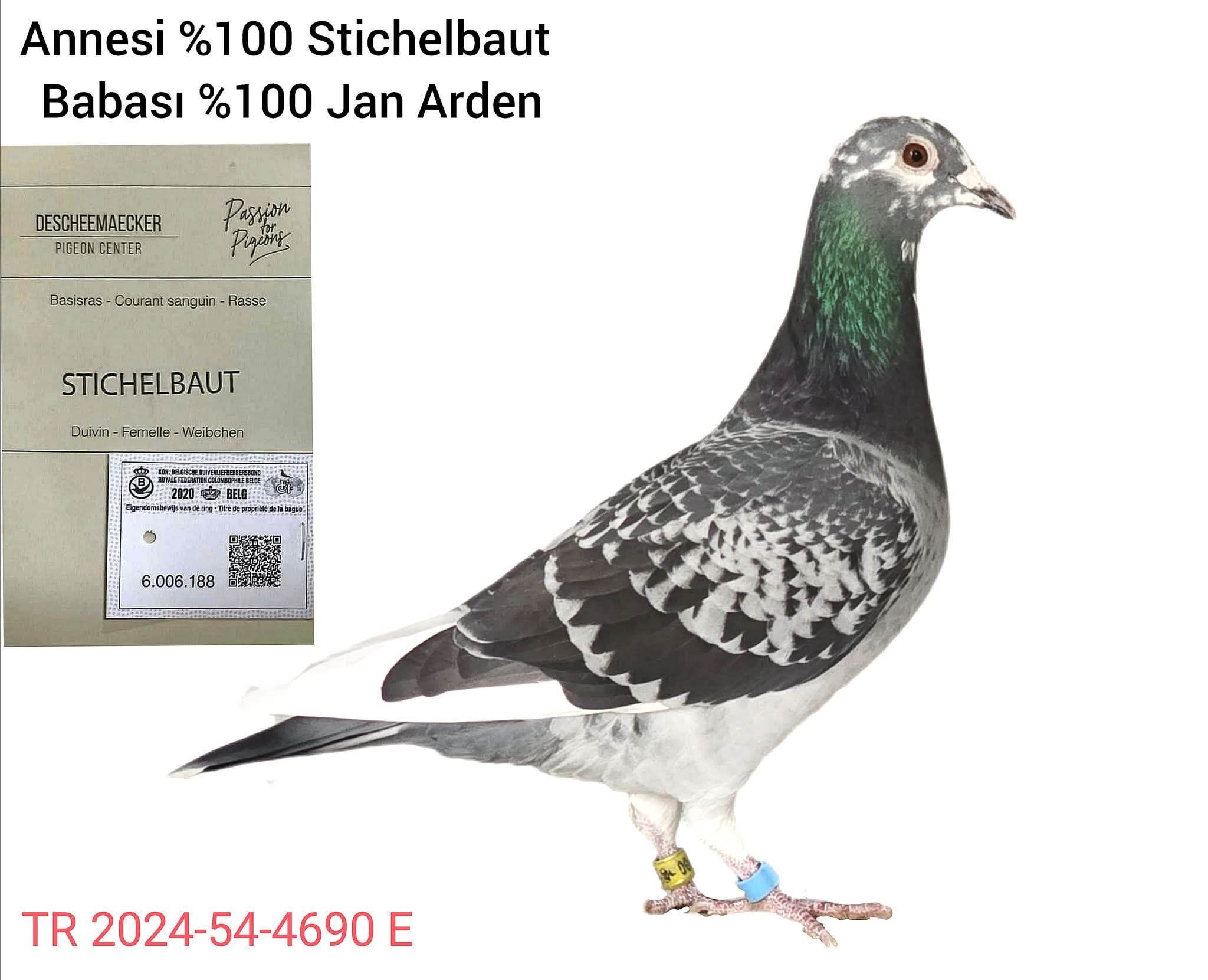 TR-24-54-4690 JAN ERDEN 