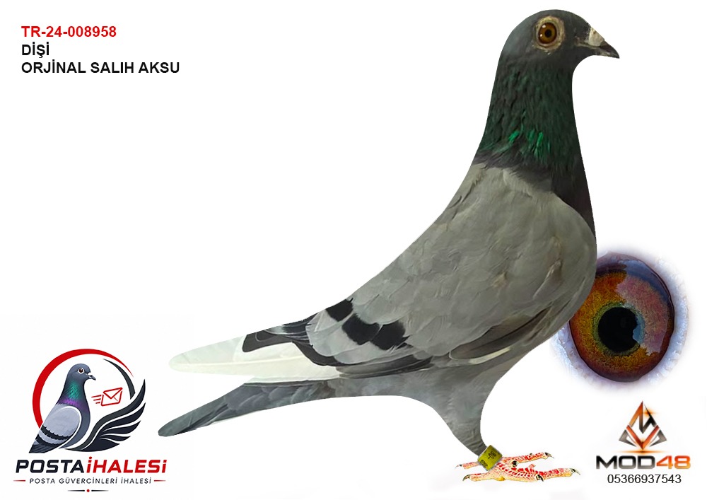 TR-24-008958 SALİH AKSU