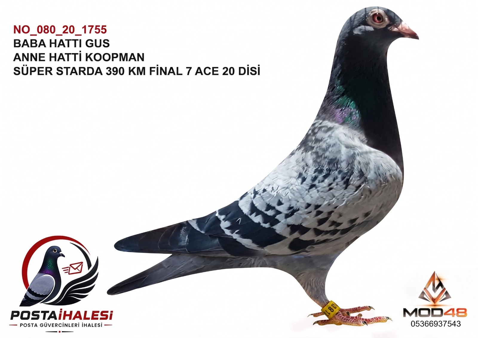 NO-080-20-1755 SUPER STAR 390 KM  FİNAL 7 ACE 20
