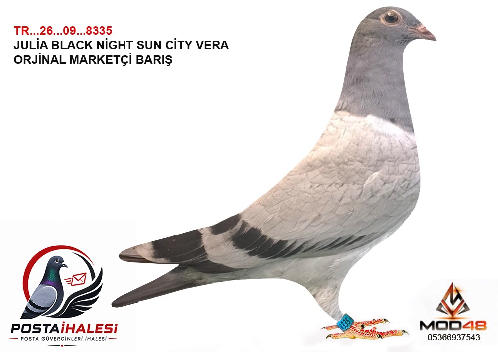 TR-26-09-8335- JULİA BALCK NİGT VERA SUN CITY